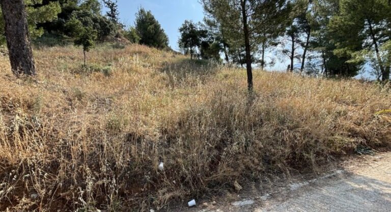 ΠΑΤΡΑ - ΣΗΜΑ ΚΙΝΔΥΝΟΥ ΑΠΟ ΤΟ ΓΗΡΟΚΟΜΕΙΟ: Τα χόρτα απειλούν τους κατοίκους - ΦΩΤΟ