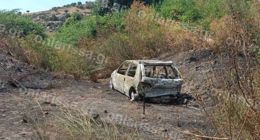 auto_larisa-850x460