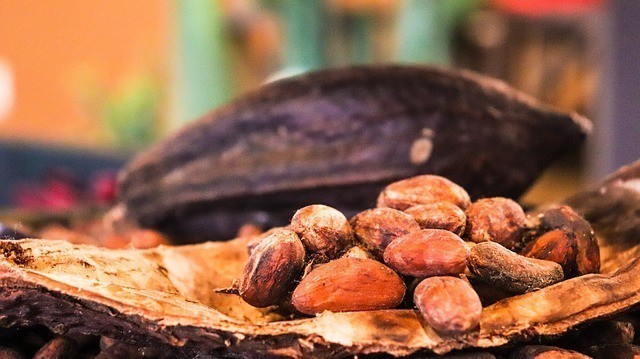cacao-pixabay (1)