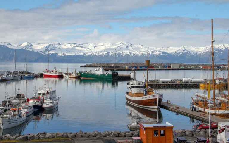 husavik_iceland_-_pixabay-768x480