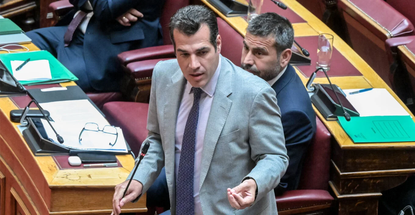 maketa-pleuris