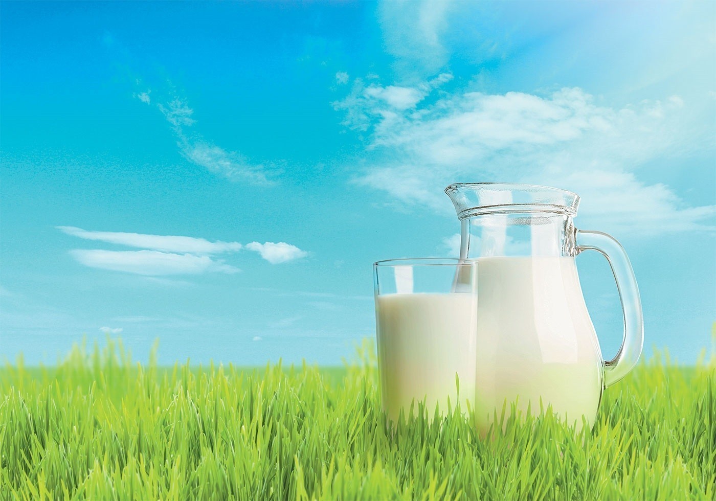 milk-4555