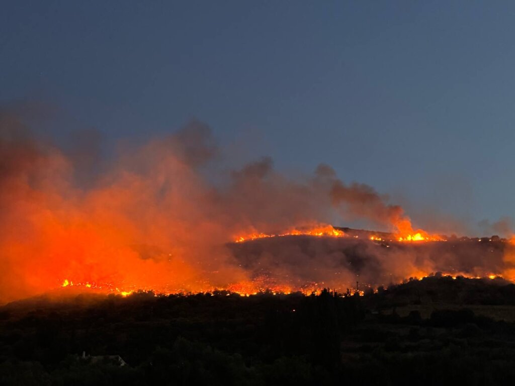 photo_2025-06-29_05-41-49 (2)