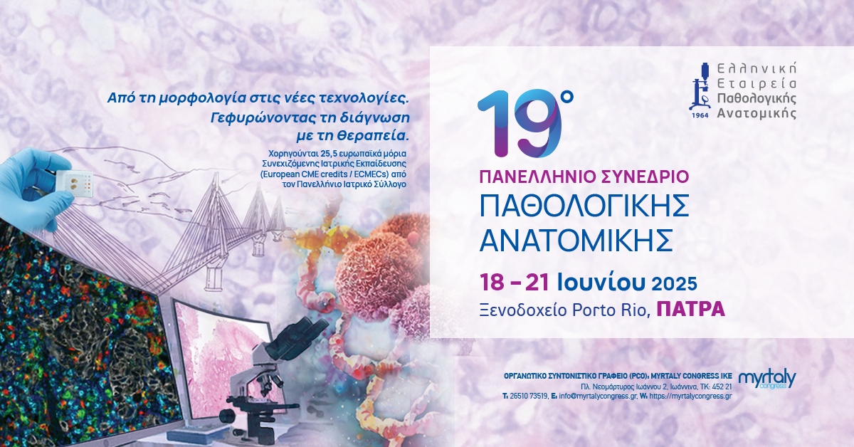web-banner