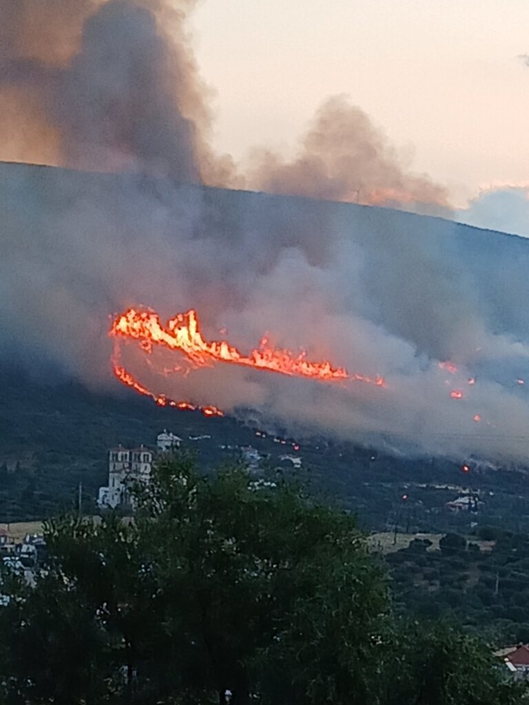 εικόνα_Viber_2025-06-29_06-21-20-050