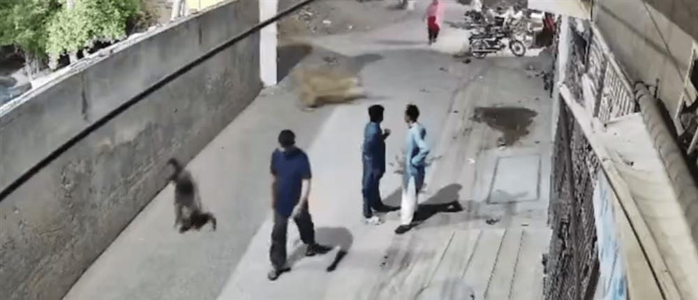 1000_783be119-5acd-49b2-beaf-fc2ae37c9552