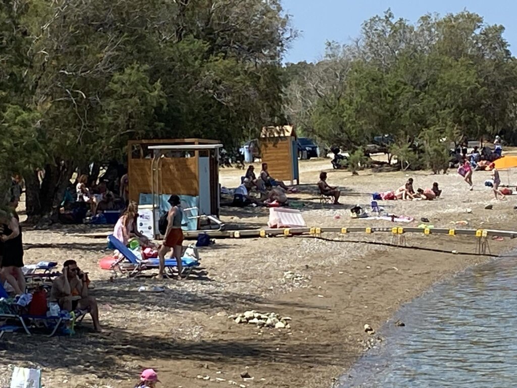 31988531-a3dd-49a7-935b-217a69dc01b4 (1)