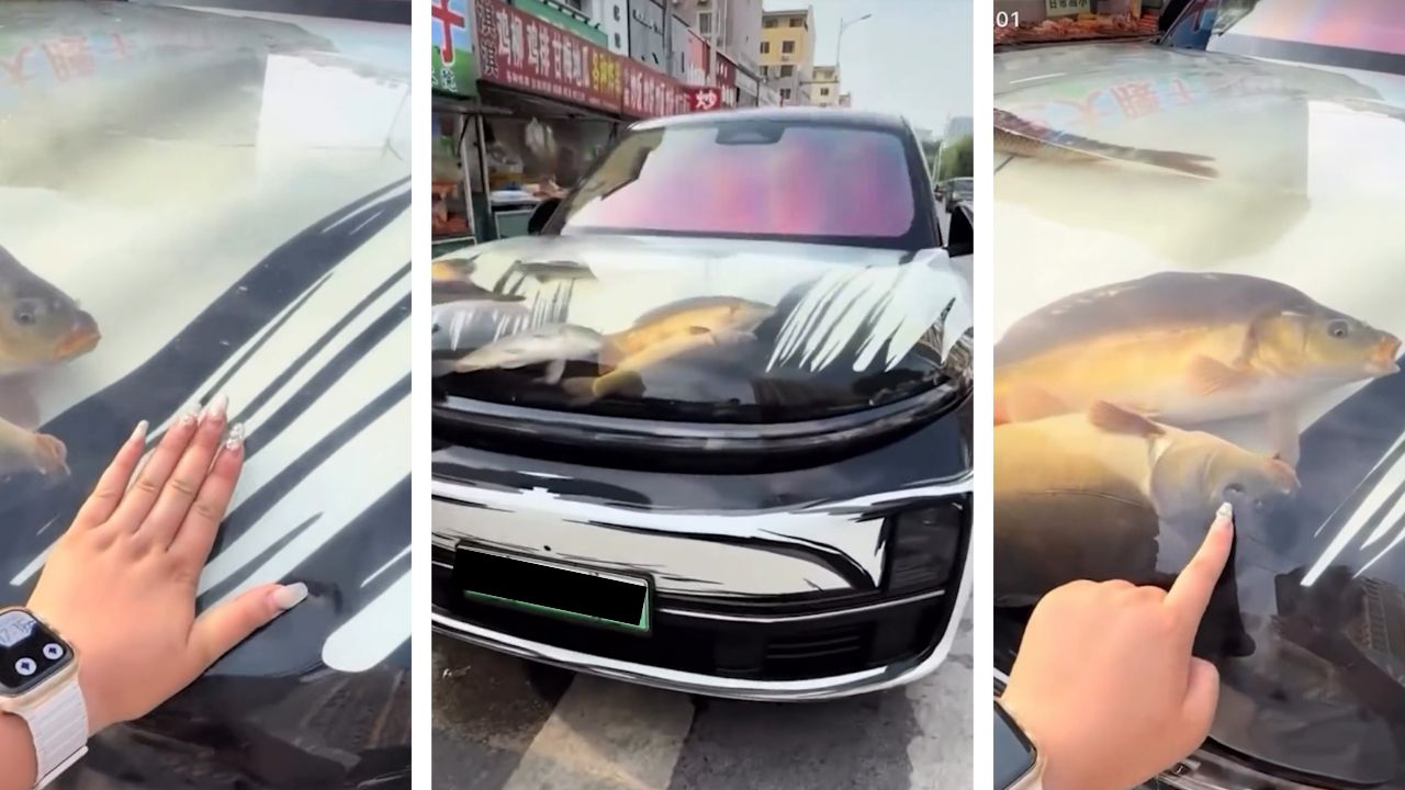 chines-preso-por-transformar-SUV-carro-em-aquario