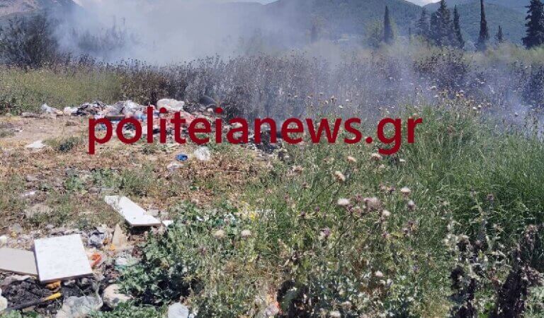 ΚΙΝΔΥΝΟΣ ΓΙΑ ΤΗΝ ΥΓΕΙΑ ΤΩΝ ΚΑΤΟΙΚΩΝ ΤΗΣ ΠΕΡΙΟΧΗΣ ΕΓΛΥΚΑΔΑΣ - ΡΙΓΑΝΟΚΑΜΠΟΥ! 20 φωτιές από ρομά… μέσα σε 2 μήνες!