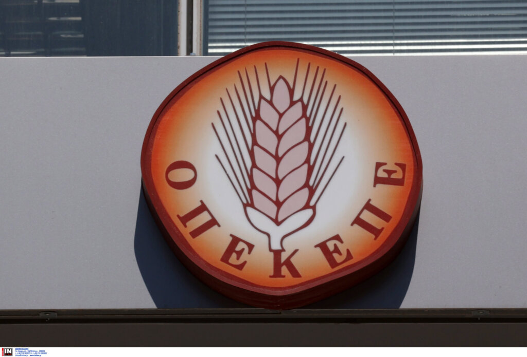 ÅÖÏÄÏÓ ÁÐÏ ÊËÉÌÁÊÉÏ ÔÇÓ ÏÉÊÏÍÏÌÉÊÇÓ ÁÓÔÕÍÏÌÉÁÓ (TASK FORCE) ÓÔÁ ÃÑÁÖÅÉÁ ÔÏÕ ÏÐÅÊÅÐÅ