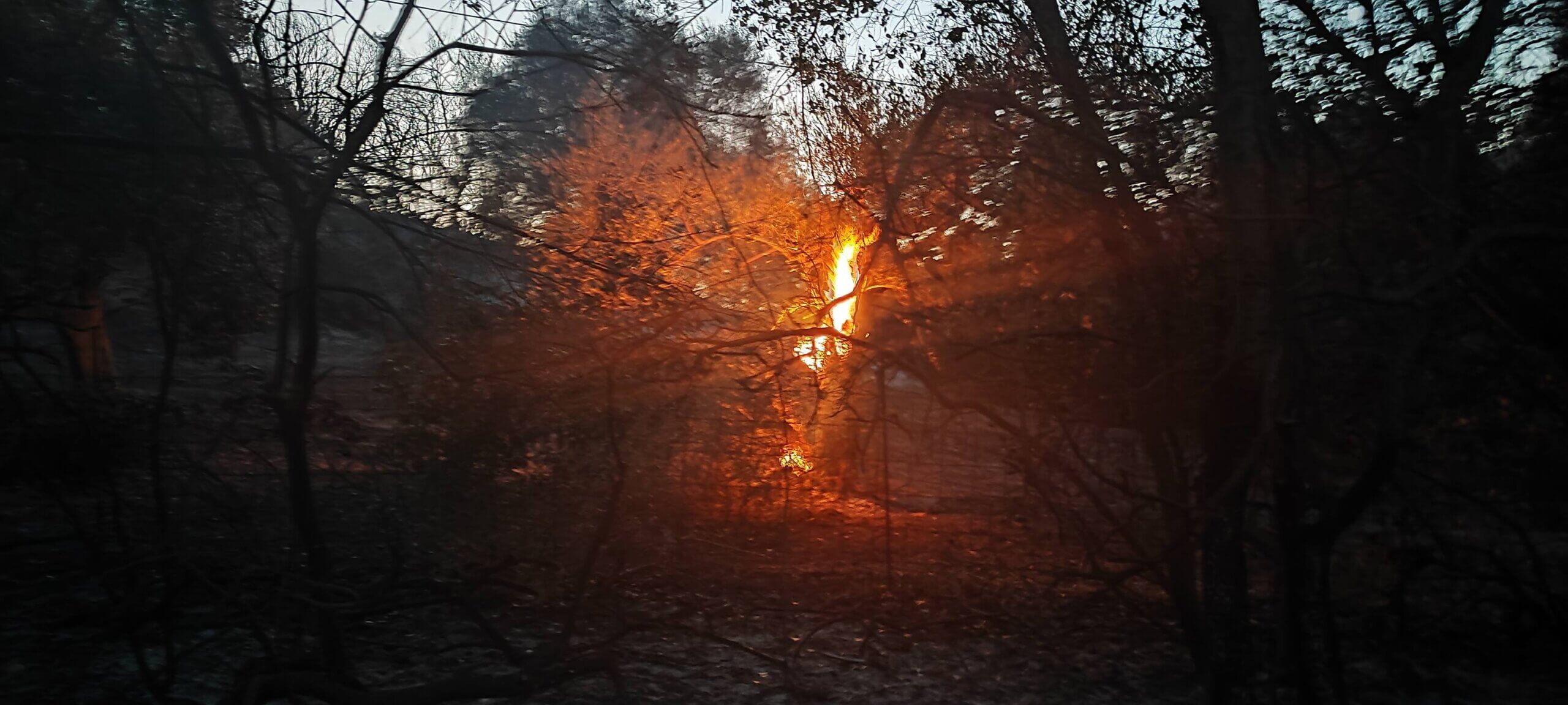 448883860_7946017805460077_8768489043060762344_n