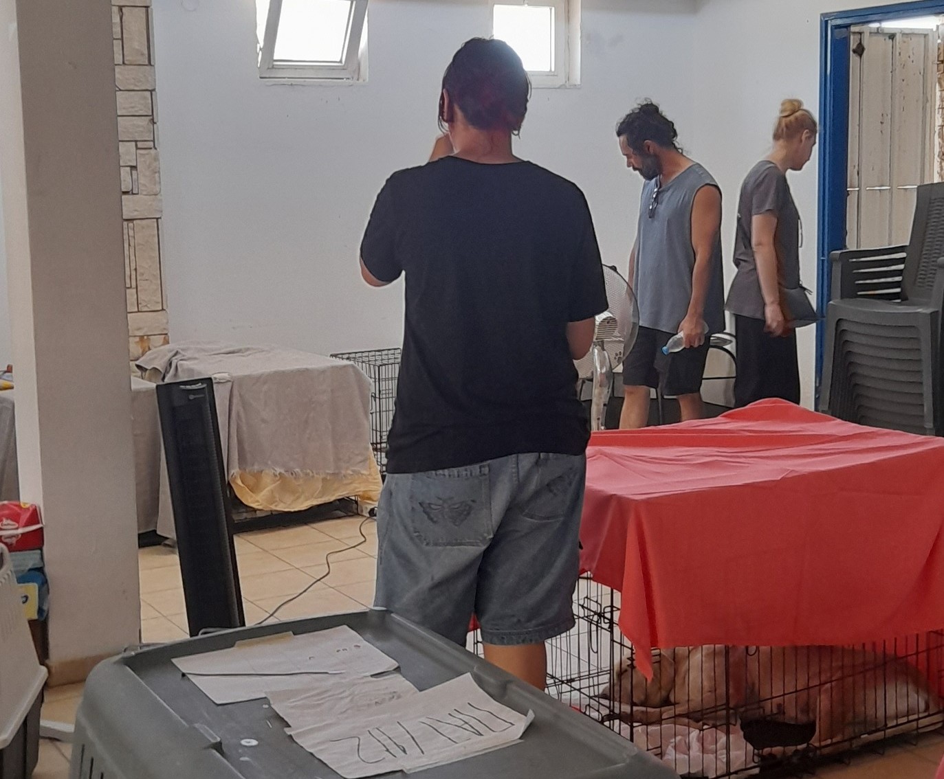 533330179_2126083127931809_6948568821466420566_n