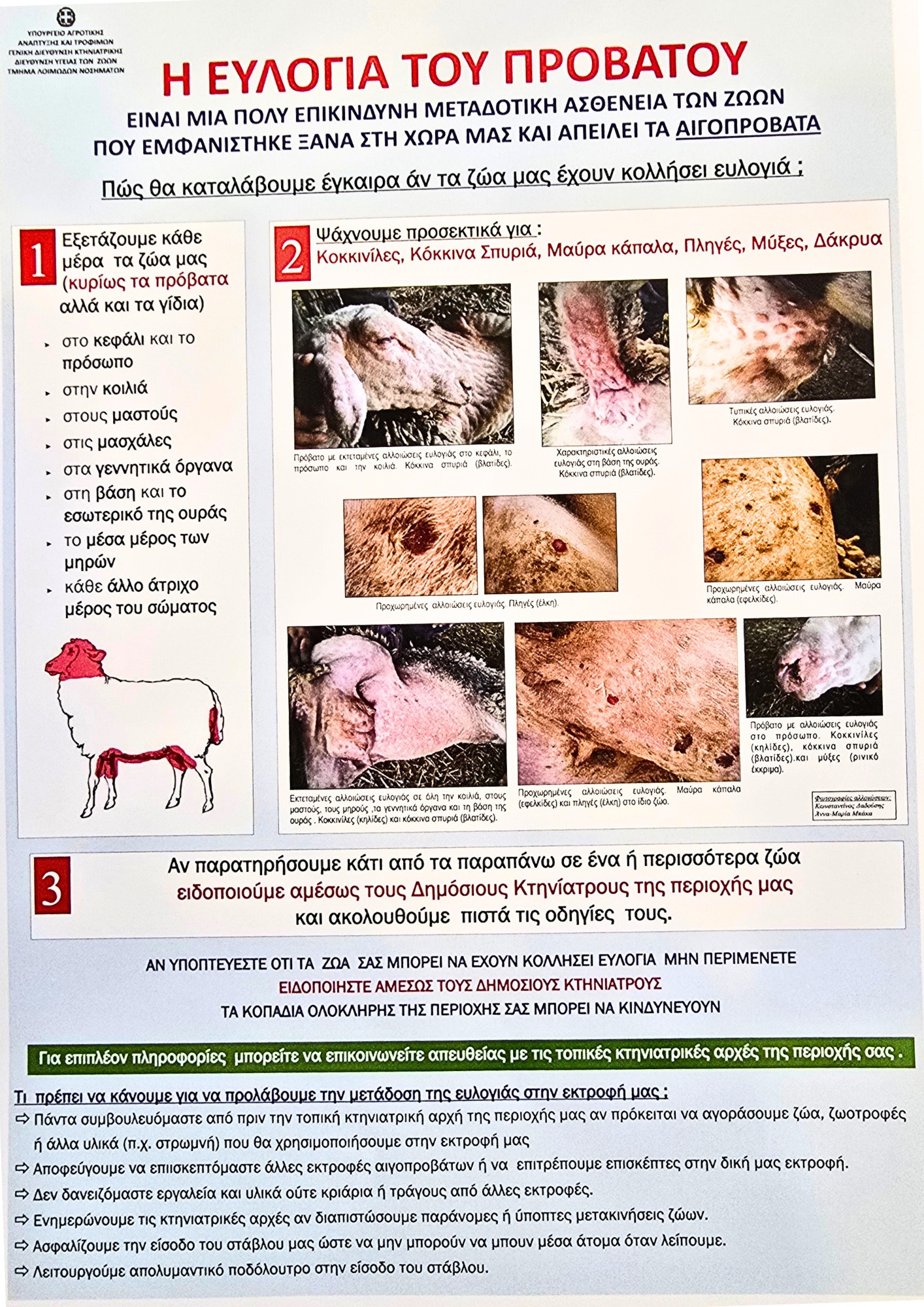 539437446_1075948198042623_769606119508670833_n