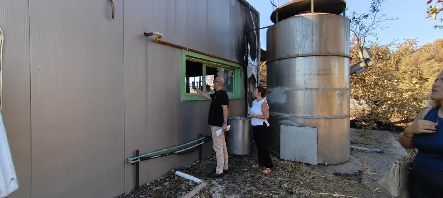 539592726_1501034481057266_2308434324832737712_n