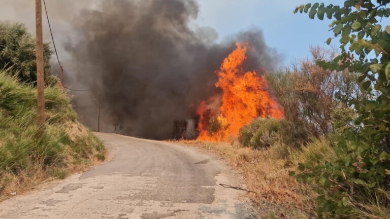 ΔΥΤΙΚΗ ΑΧΑΪΑ: Κάηκαν 20.000 στρέμματα