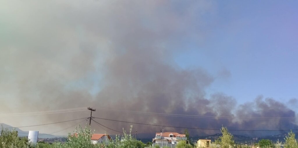 fdotiaaaa (5) fdotiaaaa (5)