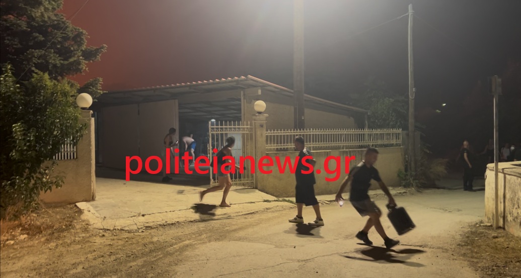 fotia 1-
