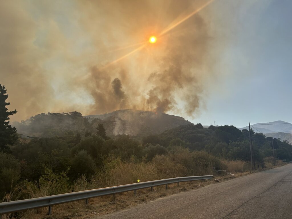 fotia (2)