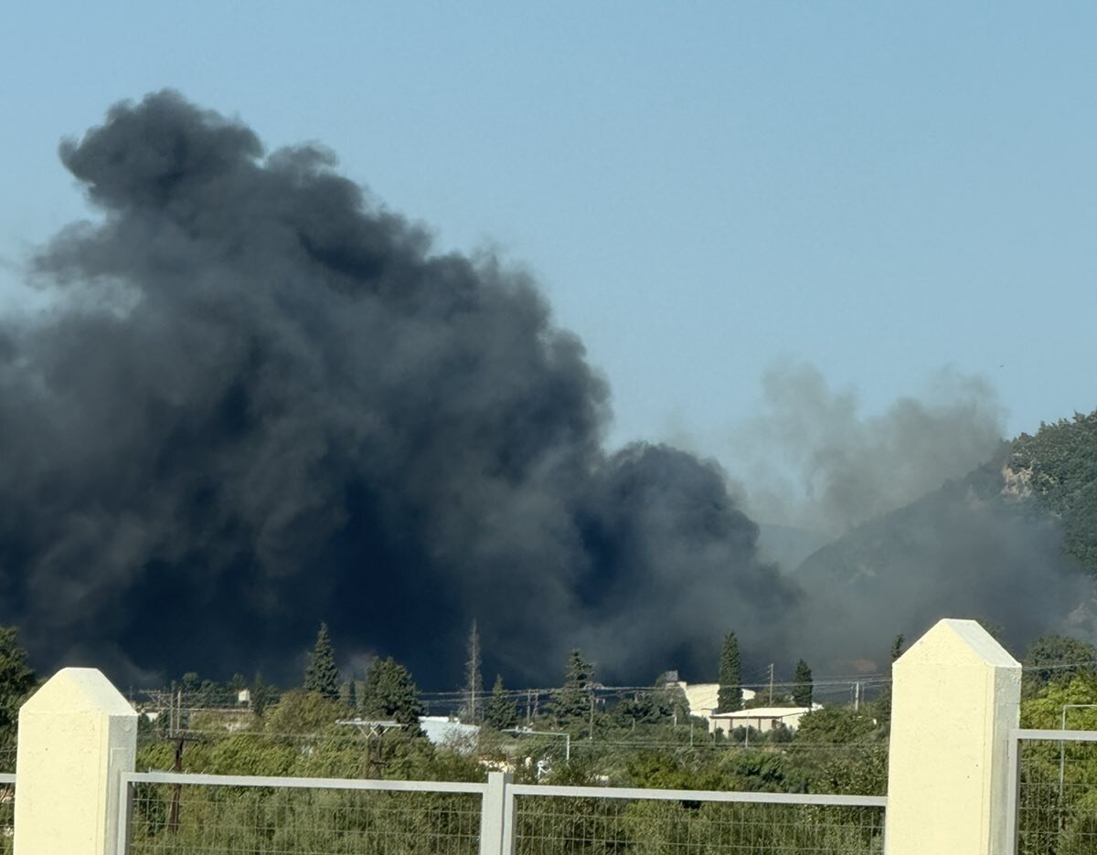 fotia ag. vasilis (1)