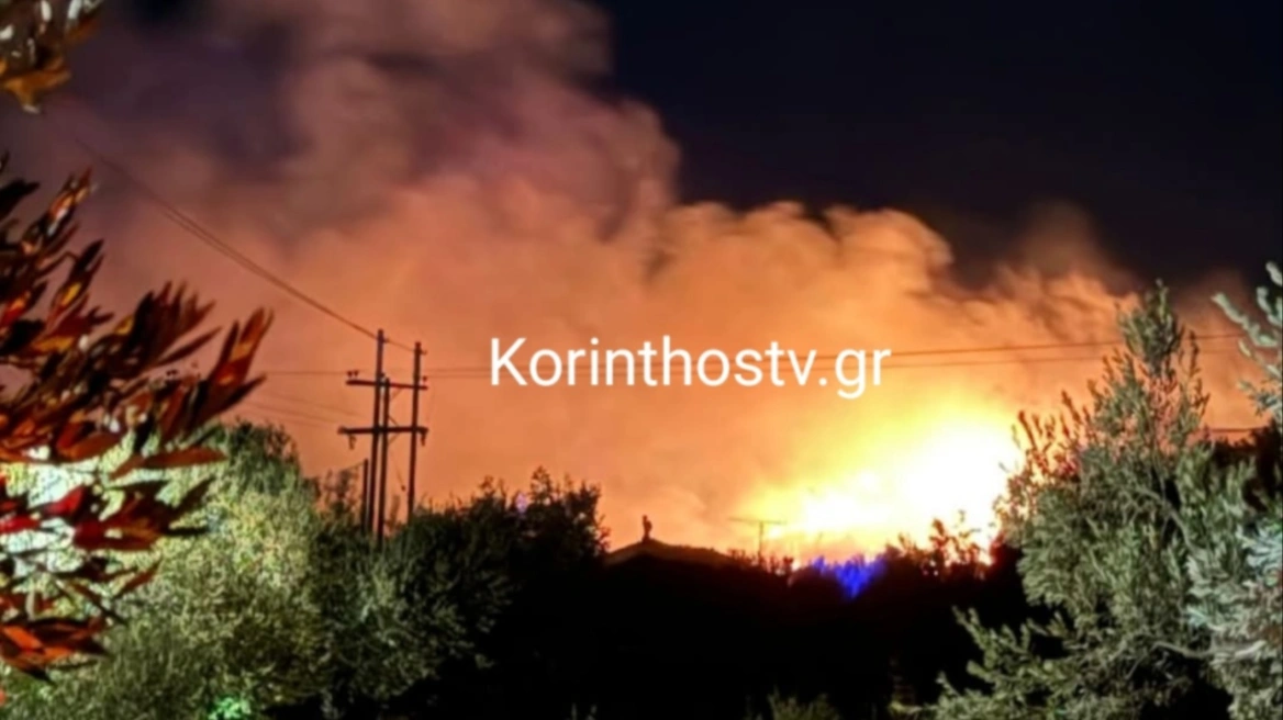 mixcollage-29-aug-2025-01-18-am-9926