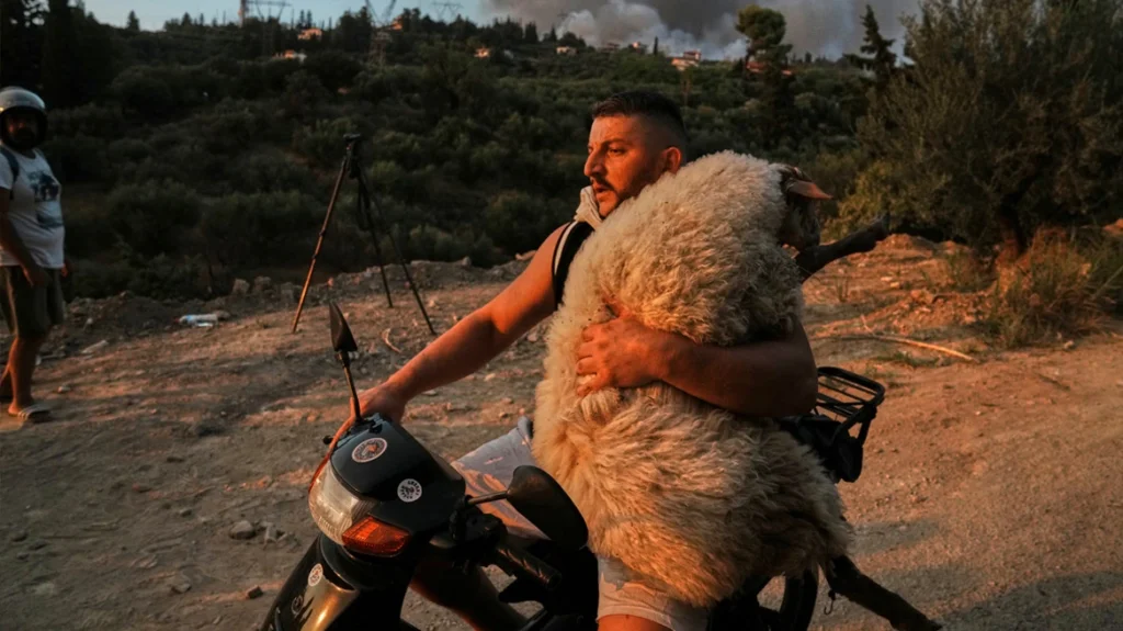 patracity_wildfires-ap-xrwma (2)