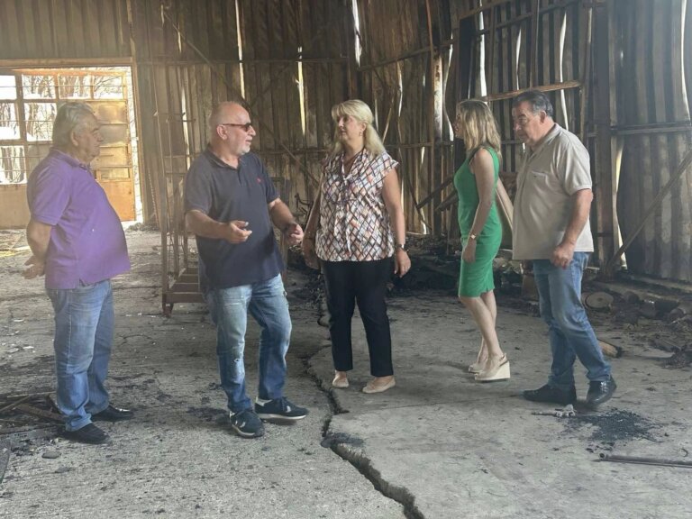 Σπιρομετρήσεις στις πυρόπληκτες περιοχές - Κινητοποίηση από την Περιφέρεια και την Αντιπεριφερειάρχη Υγείας