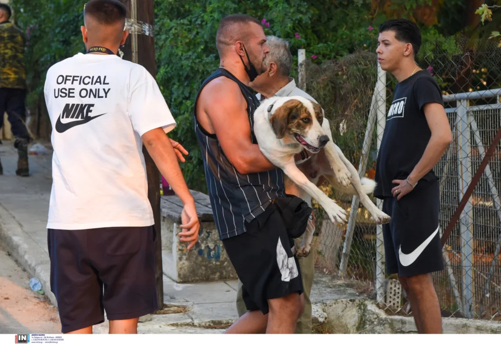 skylakidiaswsh-scaled