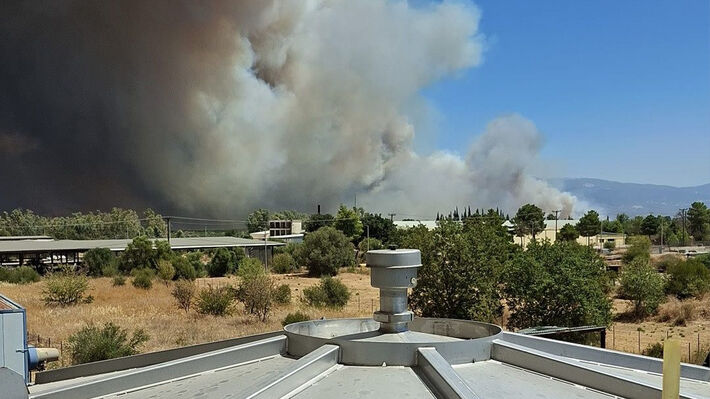 vipe-patra-pyrkagia-02 (1)