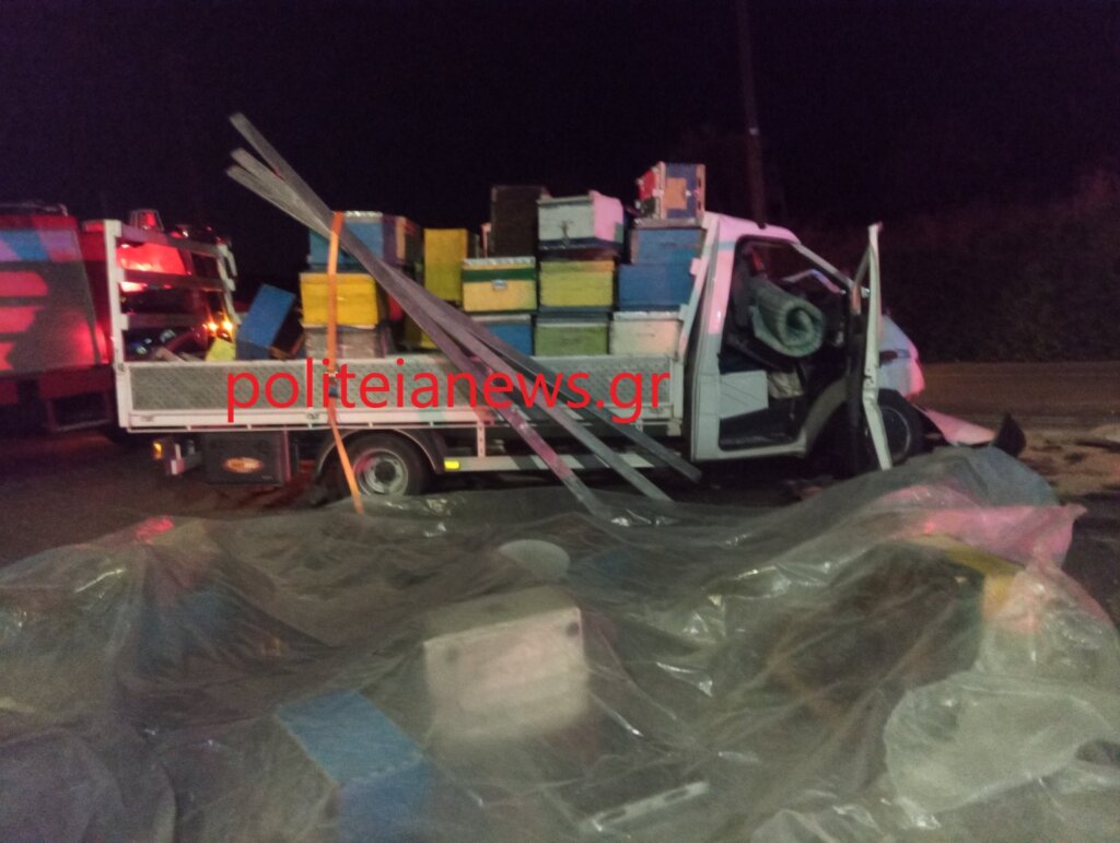 εικόνα_Viber_2025-08-08_00-06-33-079