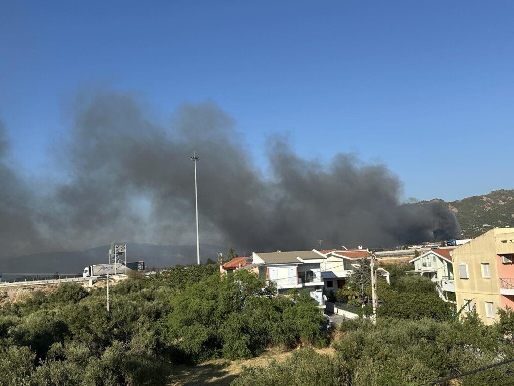 εικόνα_Viber_2025-08-12_18-32-24-830