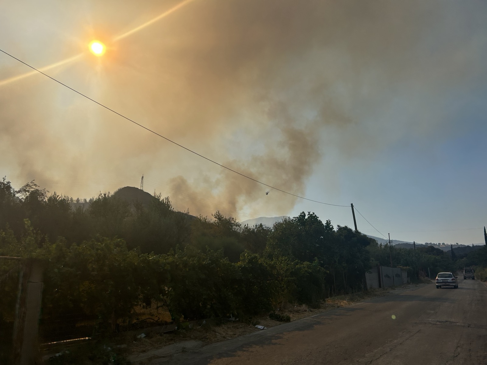 εικόνα_Viber_2025-08-13_09-53-31-450