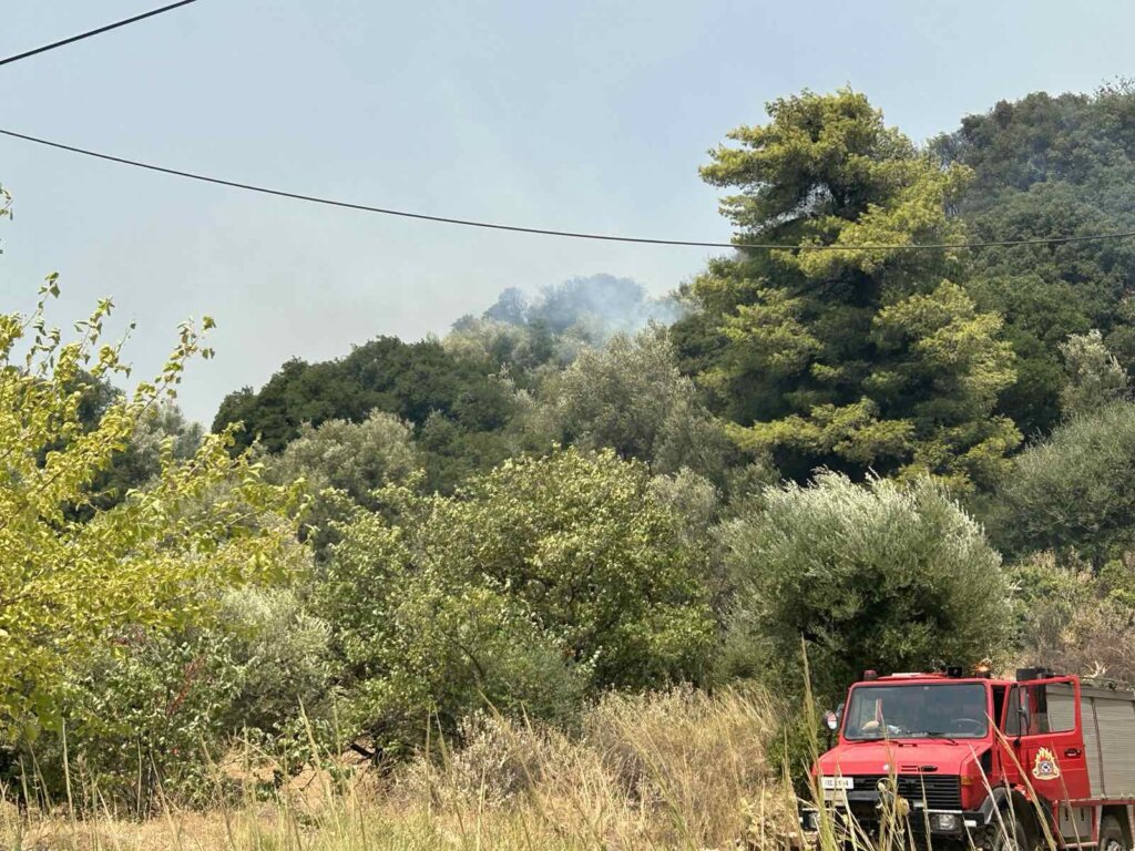 εικόνα_Viber_2025-08-13_16-14-51-754