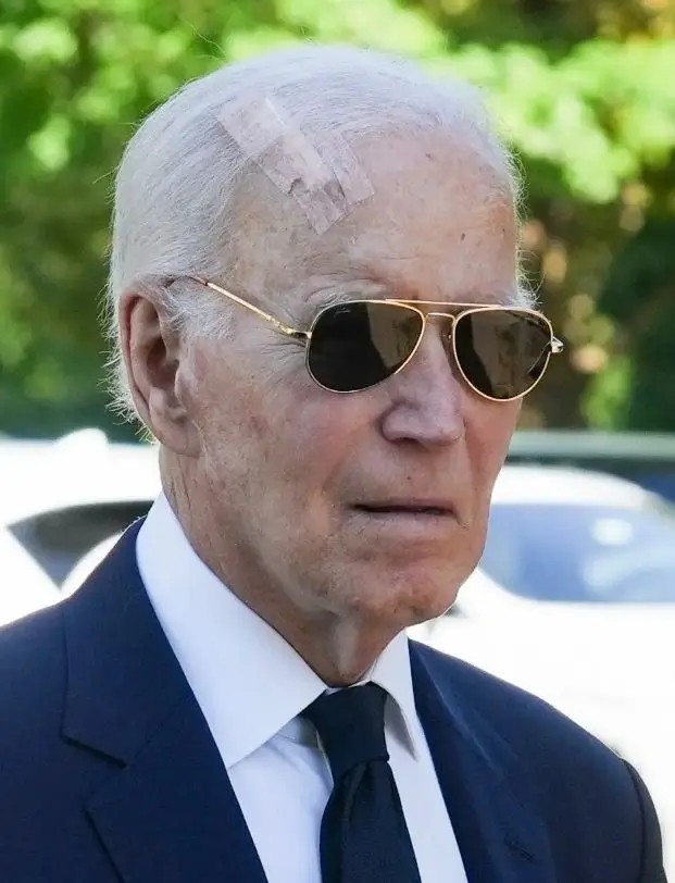 1757048314850-933597063-biden