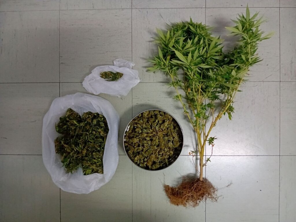 25-9-2025-Συνελήφθη-άνδρας-στο-Μεσολόγγι-για-καλλιέργεια-και-κατοχή-ναρκωτικών