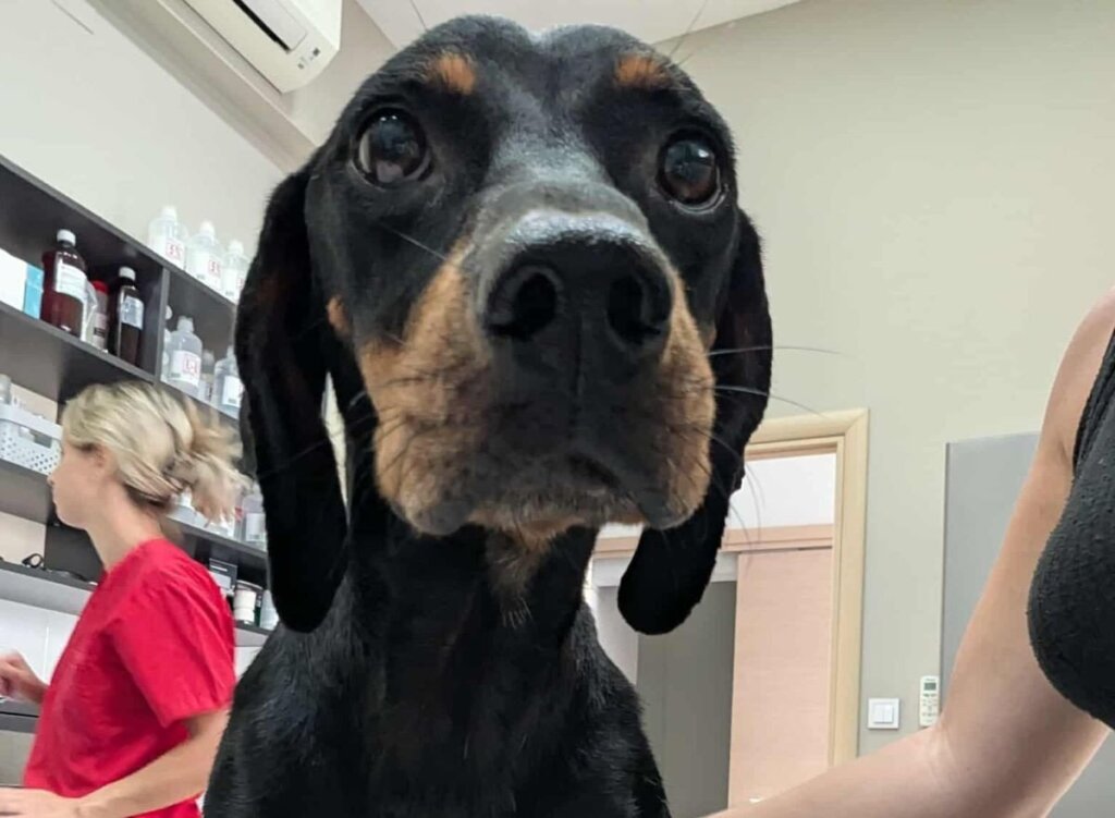 a9e67876fe6748b83d9bb81192eb310f_XL