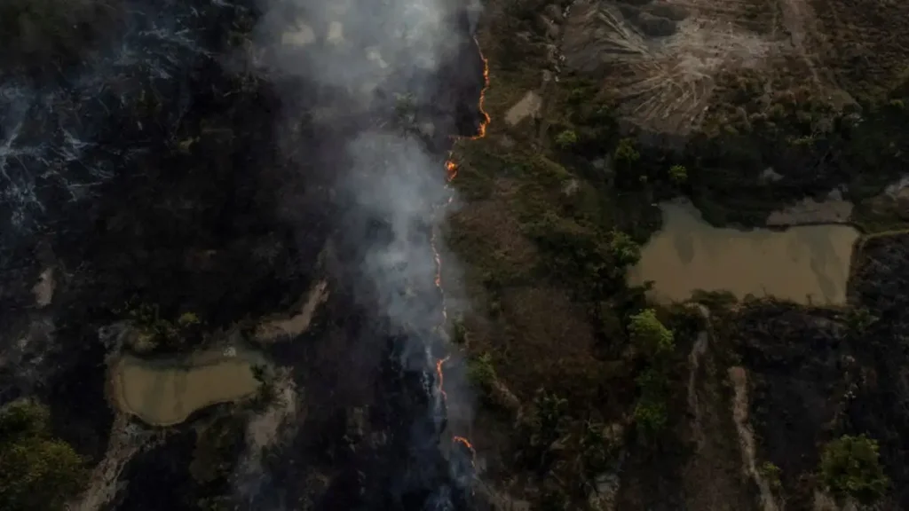 amazonia-epa1-1200x675