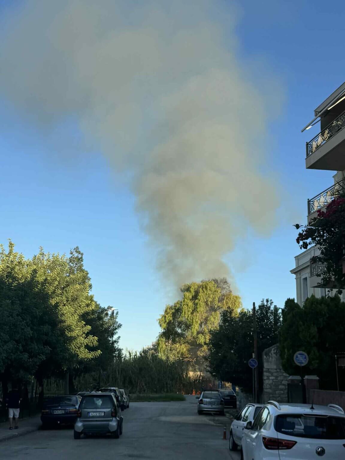 c5435b19-a4af-4ab1-8cee-07f5637d3ade (1)