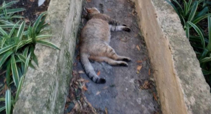 dc1d80c21dae55a7f08f4cf73daaf63a_XL-rcd85tg4cpguzwr9dz0it9fglu56q4c2b38e7q1v94