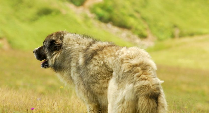 ka-3-9-rbzb0qywa6lsboezk4da8d27d29xs7jiw3889lq2yg