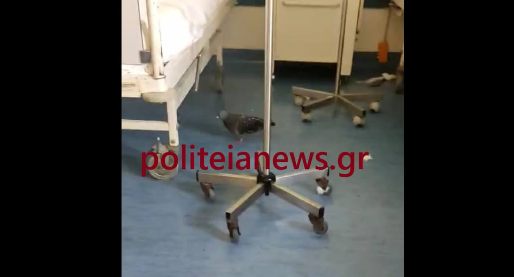 peristeri nosokomeio