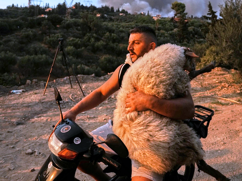 xiaflbvcsl68bb3964351d4