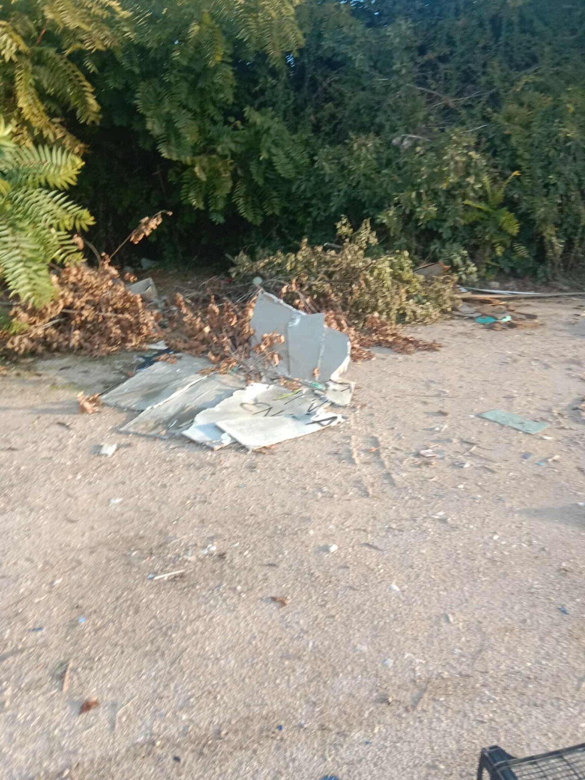 101666f3-bc51-402e-8821-90748f8c1fef