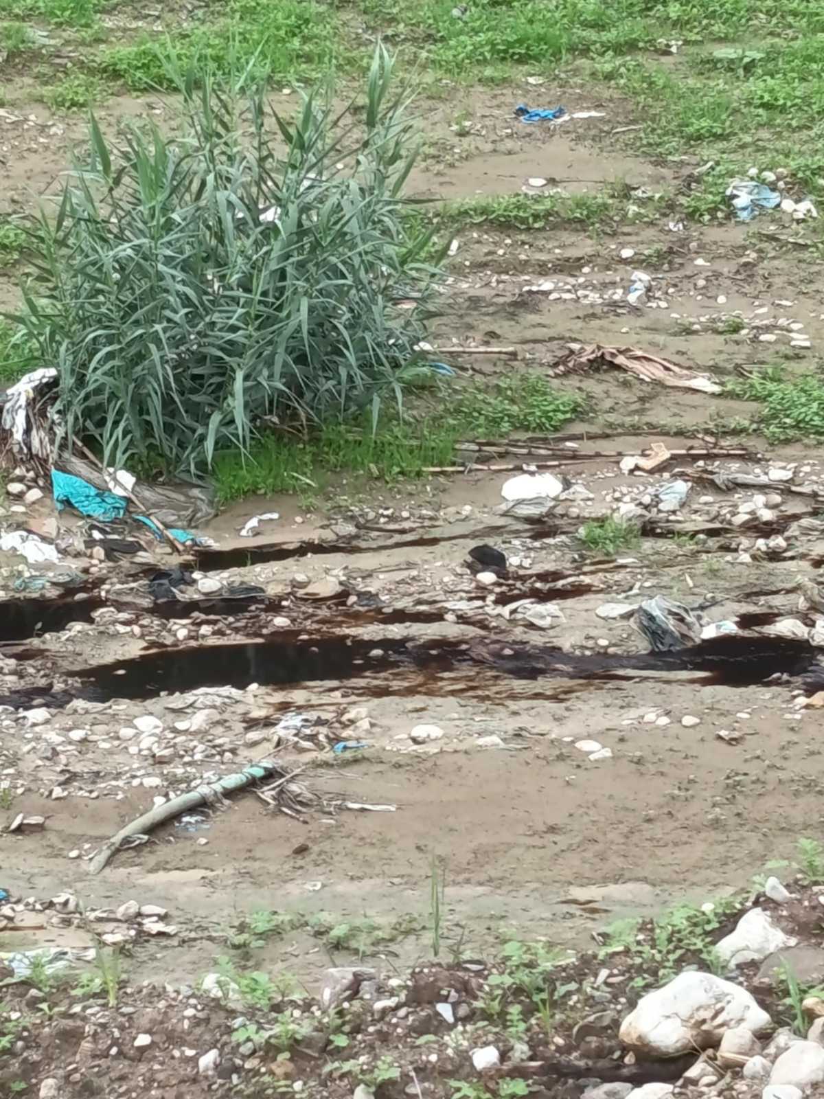 570608966_10235832396122724_5915799843154208919_n