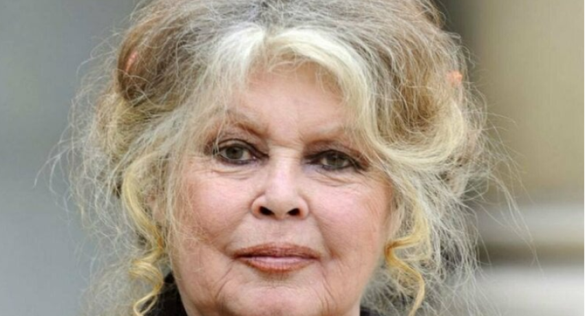 Screenshot-2025-10-16-215954-rdazpoue7vfmwn3ngx1v03zdb5ayf2zseci1m4upvc