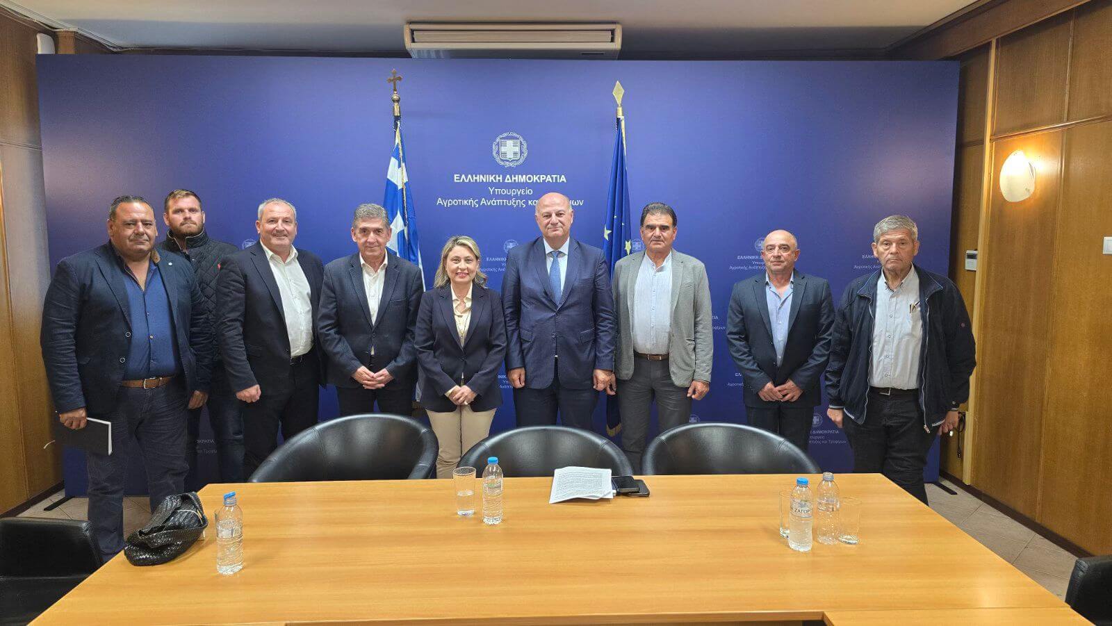 alejopoulou tsiaras (2)