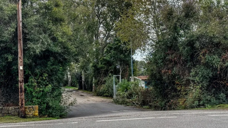 Συνελήφθη 30χρονος για το διπλό φονικό στην Φοινικούντα