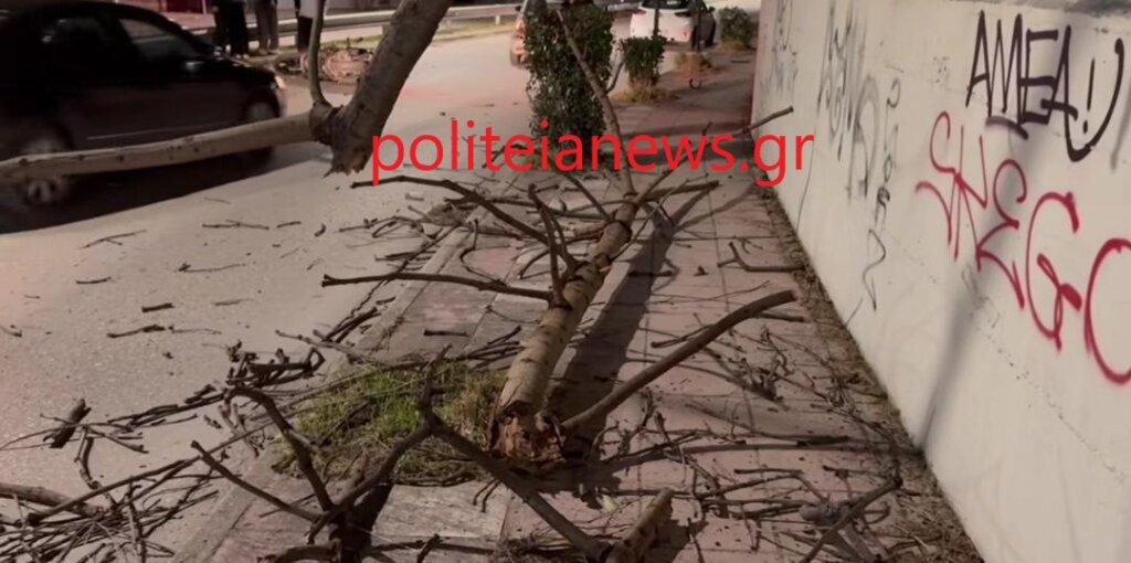 photo_2025-10-28_06-32-45 (4) photo_2025-10-28_06-32-45 (4)