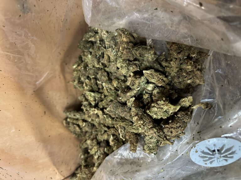 thumbnail_κανναβη-1-768x576