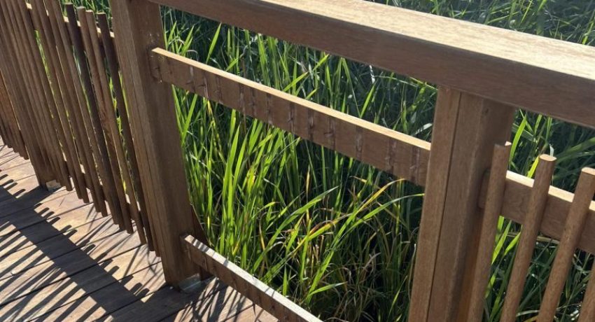 πα-4-scaled-e1760694331525-rdc28h0bbfu1xmq0mv1o6nskdc13r1f9ea67zmnnug