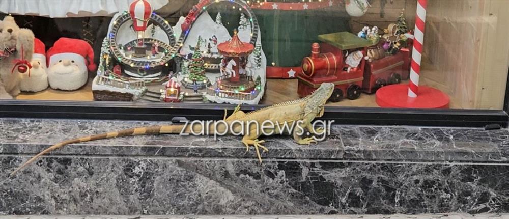 1000_5b59a327-b98f-4e74-bda9-822f335b2e82